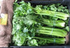 Celery