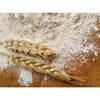 Organic Wholewheat Flour