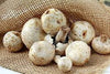 Mushrooms