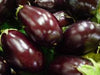Brinjal - Round